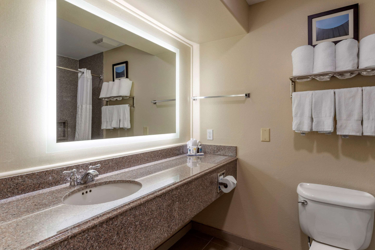 Bathroom 4, Comfort Suites, Houston