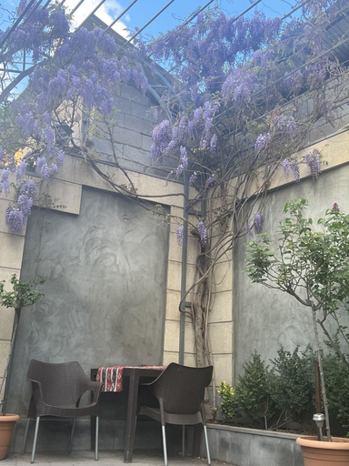Exterior & Views 2, 3 room apartment on Baghramyan, Yerevan