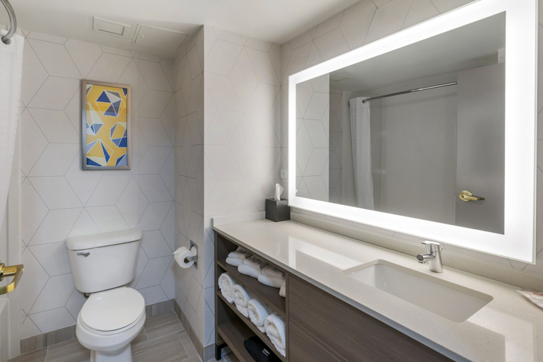 Bathroom 4, Comfort Inn & Suites Hampton near Coliseum, Hampton