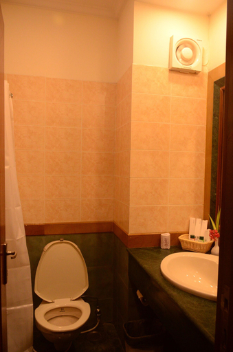 Bathroom 4, The Hans Coco Palms, Puri