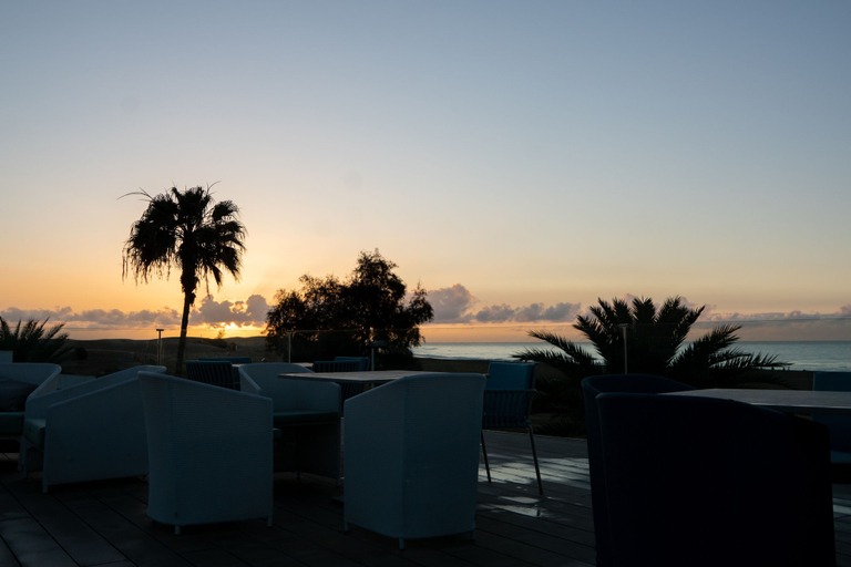 Food & Drinks 5, TenSuites, Las Palmas
