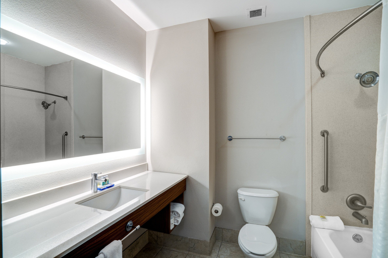 Bathroom 4, Holiday Inn Express & Suites WINONA NORTH by IHG, Montgomery