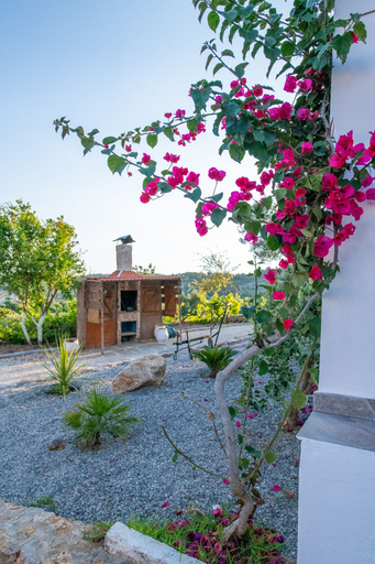 Others 5, To Stolidi tis Psinthou, South Aegean