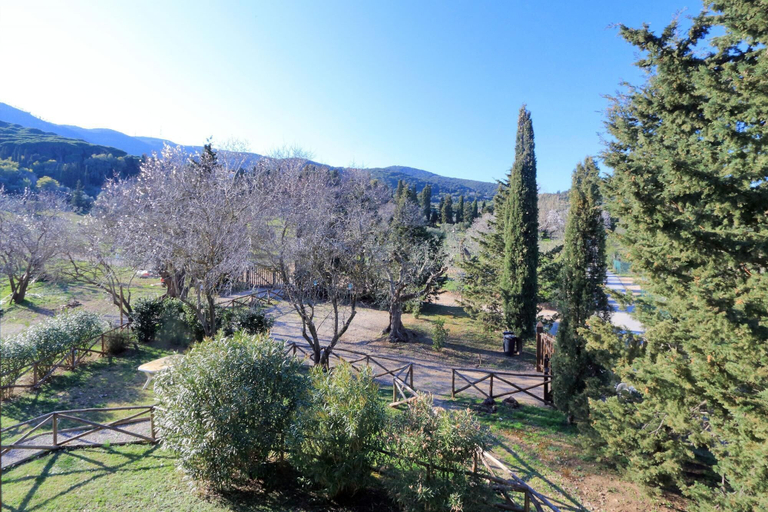 Others 5, Pimpinnacolo 21 - 3BR P4, Grosseto
