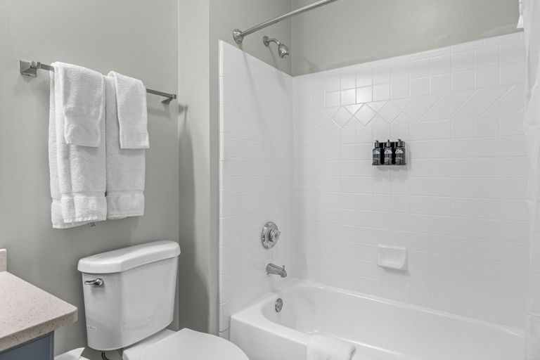Bathroom 4, Furnished Apartments near Emory, DeKalb