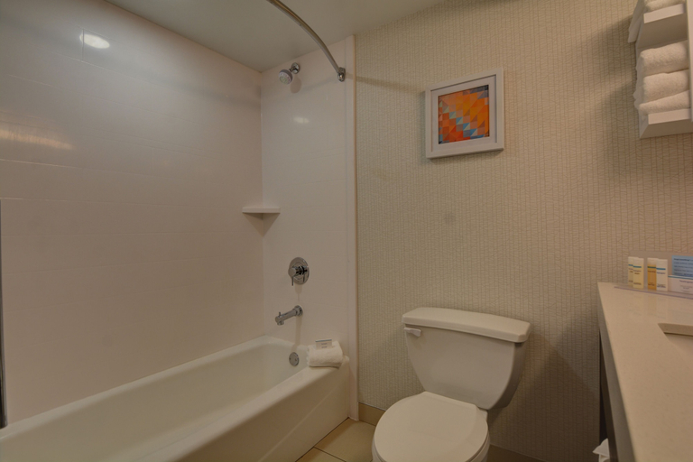 Bathroom 4, Hampton Inn Greenwood, Greenwood