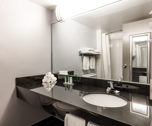 Bathroom 5, Lelux Hotel, Montréal