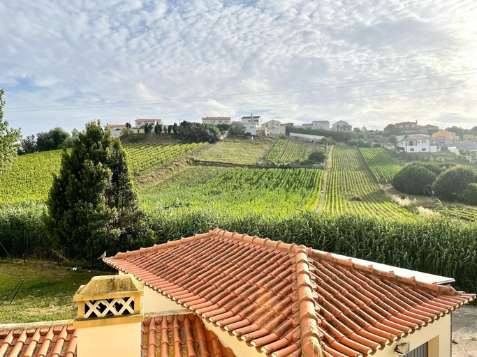 Others 4, R. Principal 25, Torres Vedras