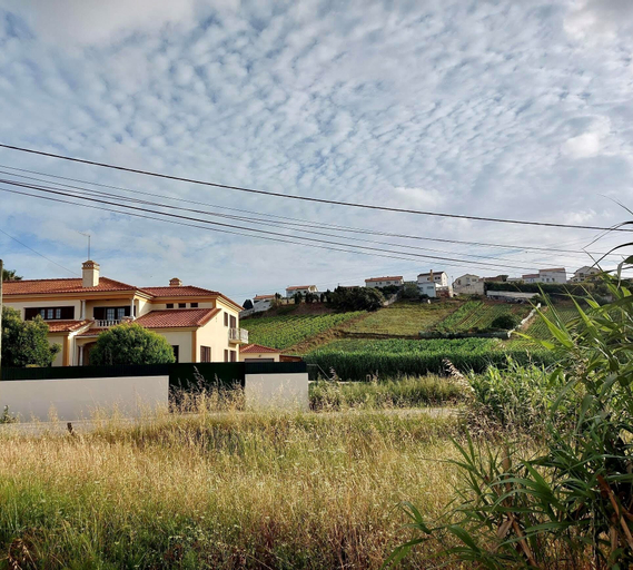 R. Principal 25, Torres Vedras