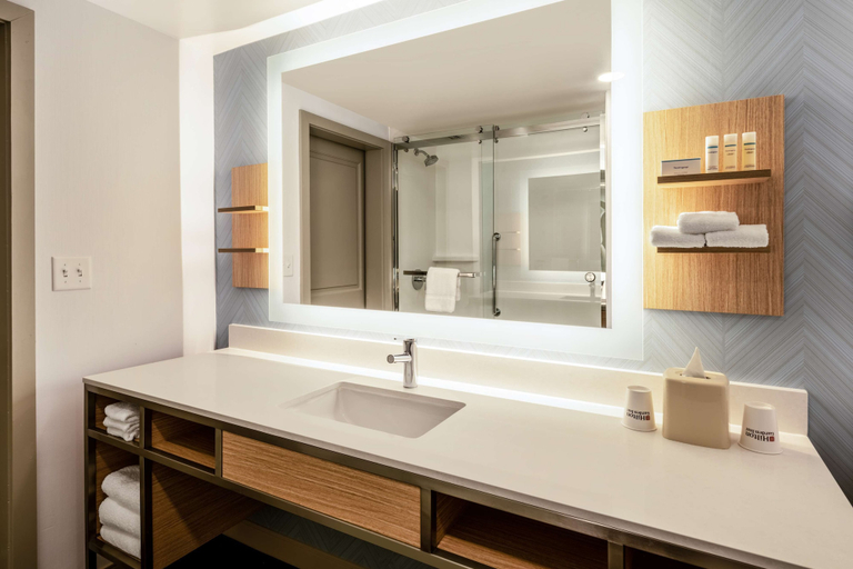 Bathroom 4, Hilton Garden Inn Jacksonville/Ponte Vedra, Saint Johns