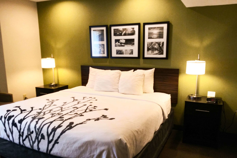 Bedroom 4, Sleep Inn & Suites Niantic North, New London