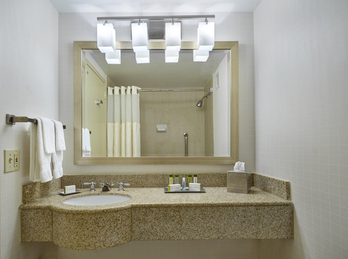 Bathroom 4, Hotel Silver Spring, Montgomery