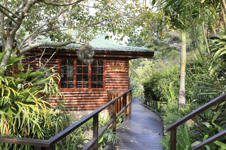 Exterior & Views, Big Tree House Lodge, Eden