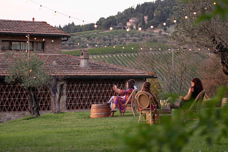 Others 3, Agriturismo Fonte De Medici, Florence