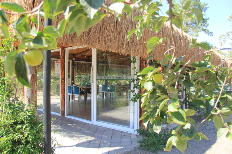 Others 5, Fark Edenler Kamp Alanı, Dalaman