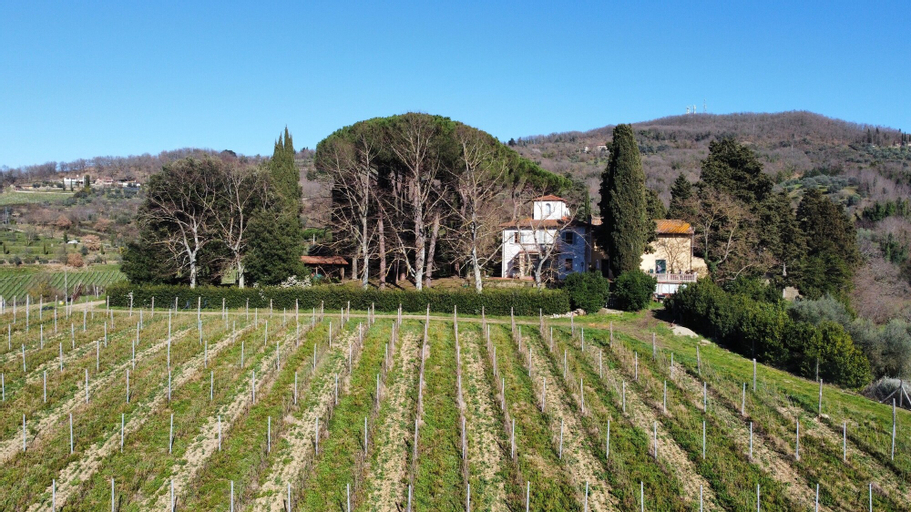Azienda agricola Frascole, Florence