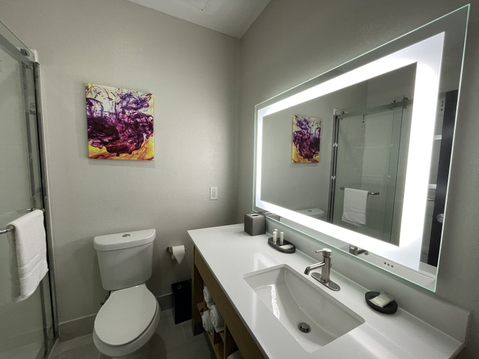 Bathroom 4, La Quinta Inn & Suites by Wyndham Augusta/Fort Eisenhower, Columbia