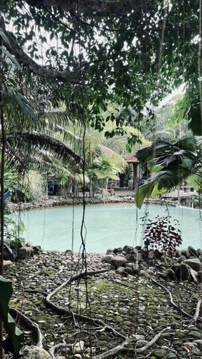 Scenery 5
