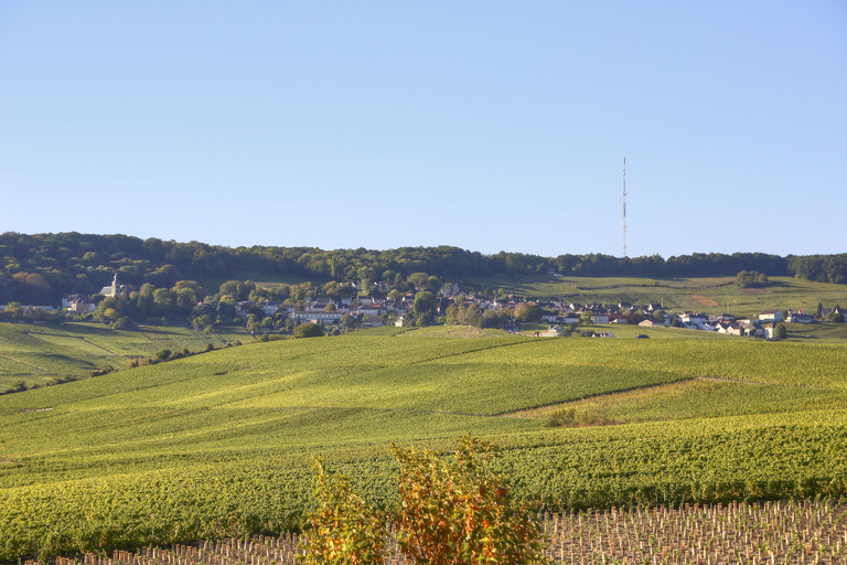 Others 4, Hotel Les Grains D'argent, Marne