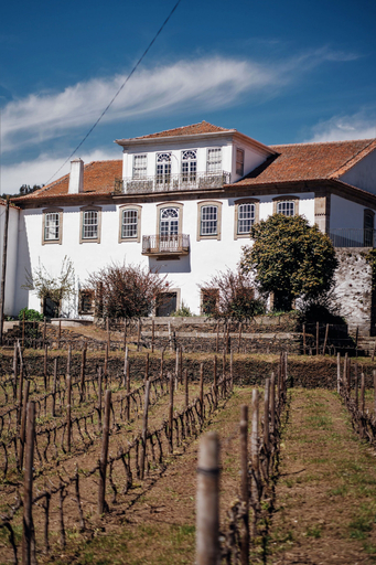 Exterior & Views 2, Casa do Santo - Wine & Tourism, Sabrosa
