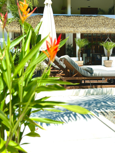 Sport & Beauty 2, Vayu Retreat Villas, Osa