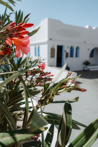 Exterior & Views 2, Petradi Hotel, South Aegean