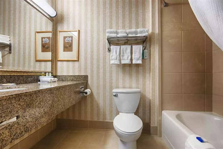 Bathroom 4, Heritage Hotel, Stark