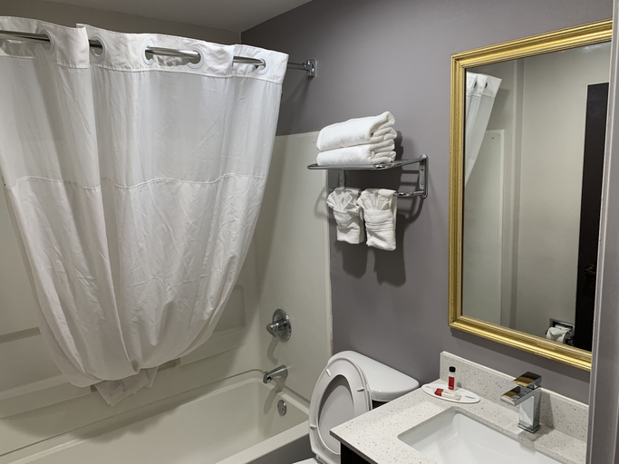 Bathroom 4, Microtel Inn & Suites by Wyndham Clarksville, Montgomery