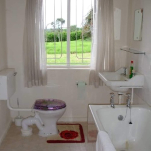 Bathroom, Amboni Lodge, Kieni