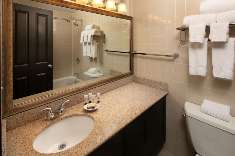 Bathroom 4, Red Lion Hotel Bellevue, King