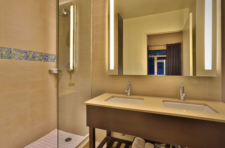 Bathroom 4, Hotel Hayden, New York