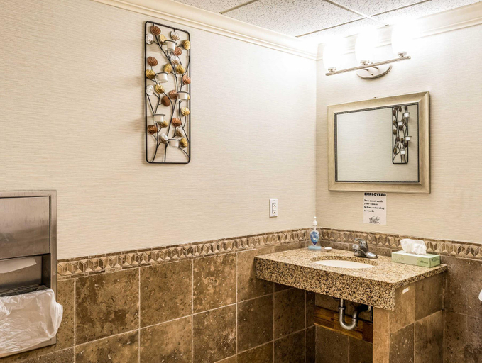 Bathroom 4, Quality Inn Alexander City, Tallapoosa