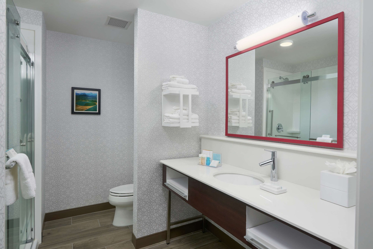Bathroom 3, Hampton Inn by Hilton Burley, Cassia