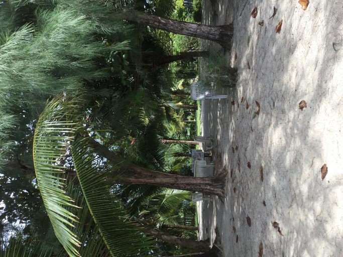 Others 4, Baan Wasana, Ko Samui