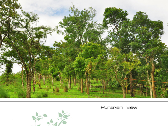 Others 4, Punarjani Ayurvedic Resort, Theni