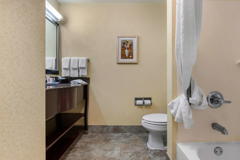 Bathroom 4, Comfort Inn & Suites Camden, Kershaw