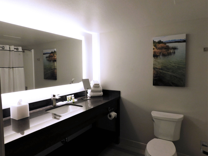 Bathroom 4, Avi Resort & Casino, Clark