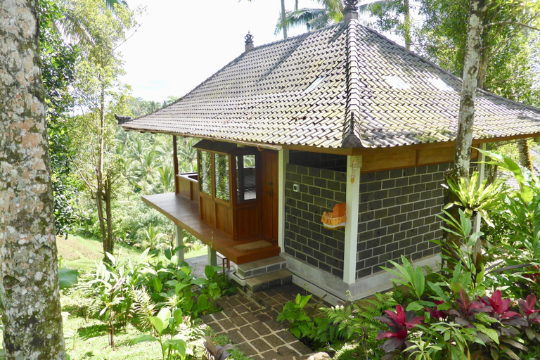 Exterior & Views 2, Clove Tree Hill, Tabanan