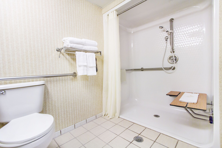 Bathroom 4, Comfort Inn & Suites Branson Meadows, Taney