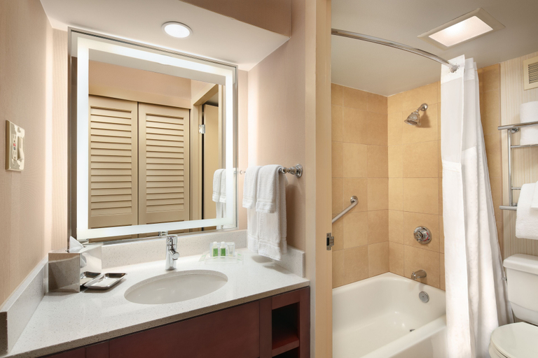 Bathroom 4, Holiday Inn AUSTIN-TOWN LAKE by IHG, Travis