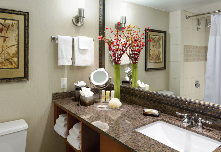 Bathroom 4, Crowne Plaza MINNEAPOLIS WEST by IHG, Hennepin