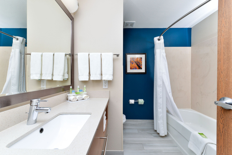 Bathroom 4, Holiday Inn Express ALBUQUERQUE N - BERNALILLO by IHG, Sandoval