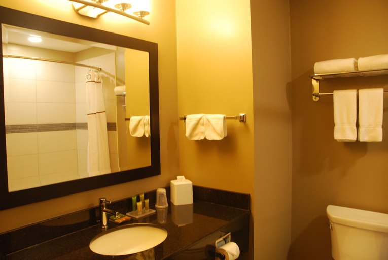 Bathroom 4, Best Western Plus Fort Saskatchewan Inn & Suites, Division No. 11