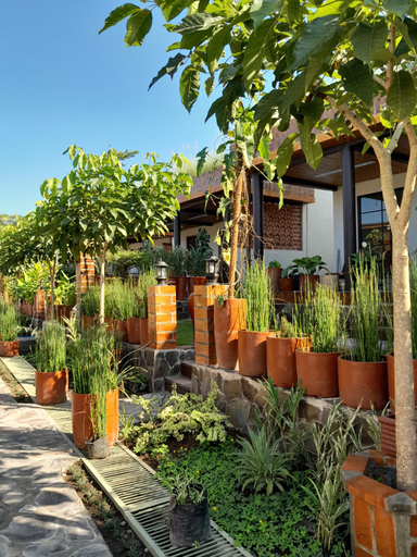 Food & Drinks 5, TZY-NO Cottage Yogyakarta, Sleman