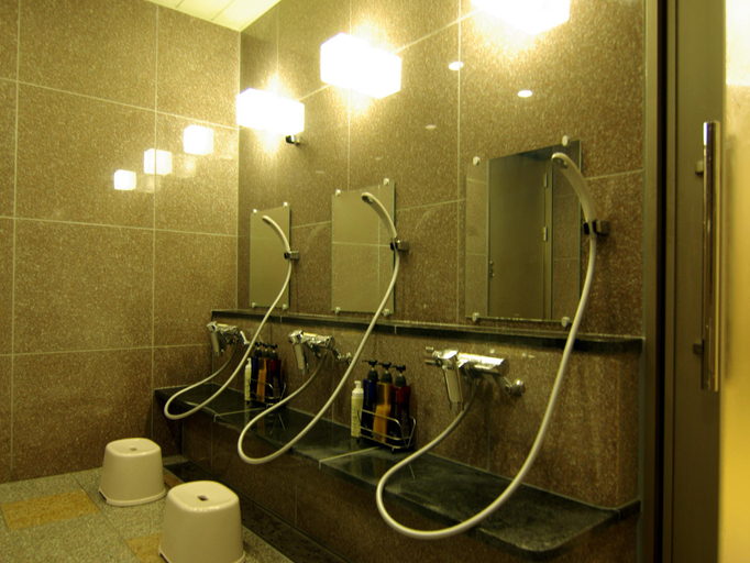 Bathroom 4, Ryokan Koyokan, Yasugi