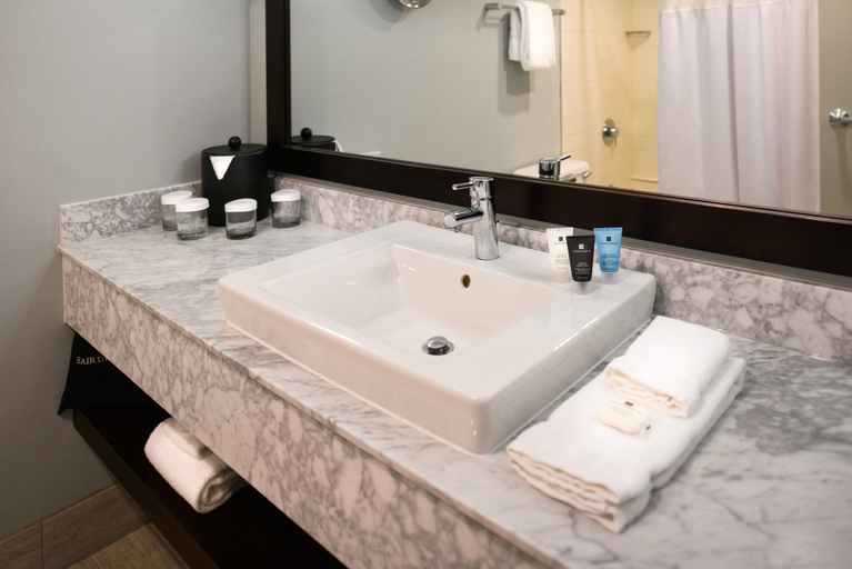 Bathroom 4, Crowne Plaza SPRINGFIELD - CONVENTION CTR by IHG, Sangamon
