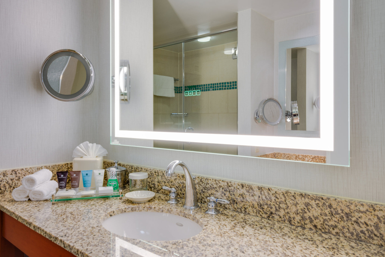 Bathroom 5, Crowne Plaza DULLES AIRPORT by IHG, Fairfax