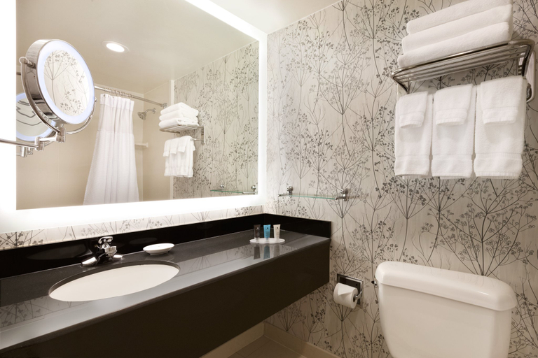 Bathroom 5, Crowne Plaza CRYSTAL CITY-WASHINGTON, D.C. by IHG, Arlington
