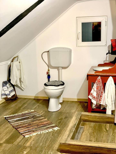 Others 5, Charming Traditional House in a Pristine Location, Fundata