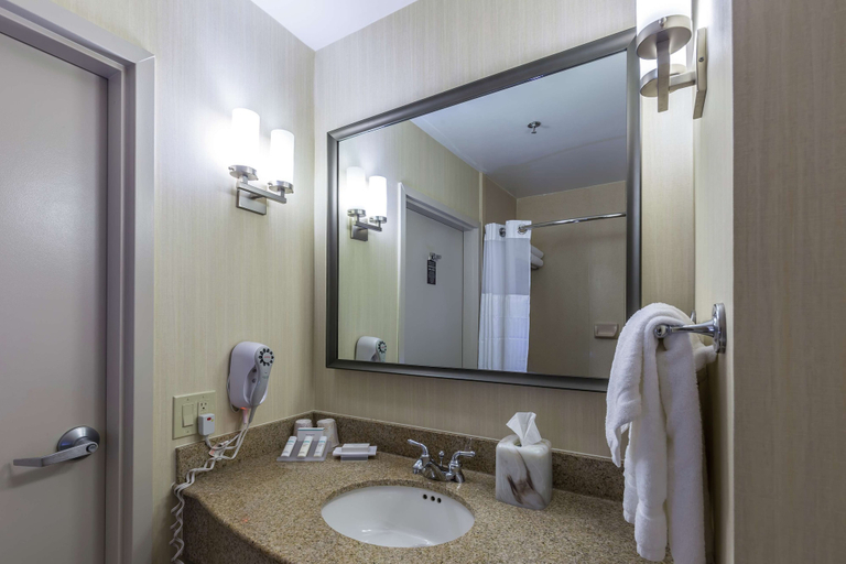 Bathroom 4, Hilton Garden Inn Fairfield, Solano